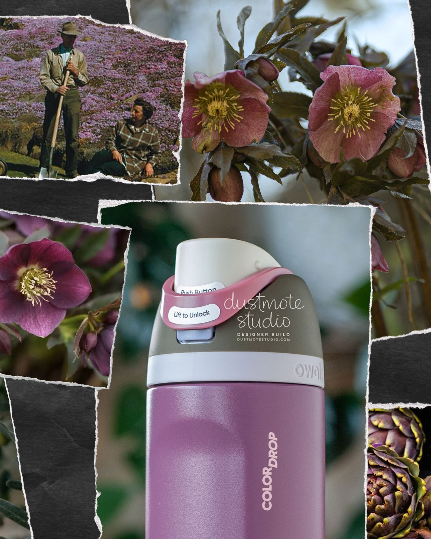 Hellebore ⊹ 24oz