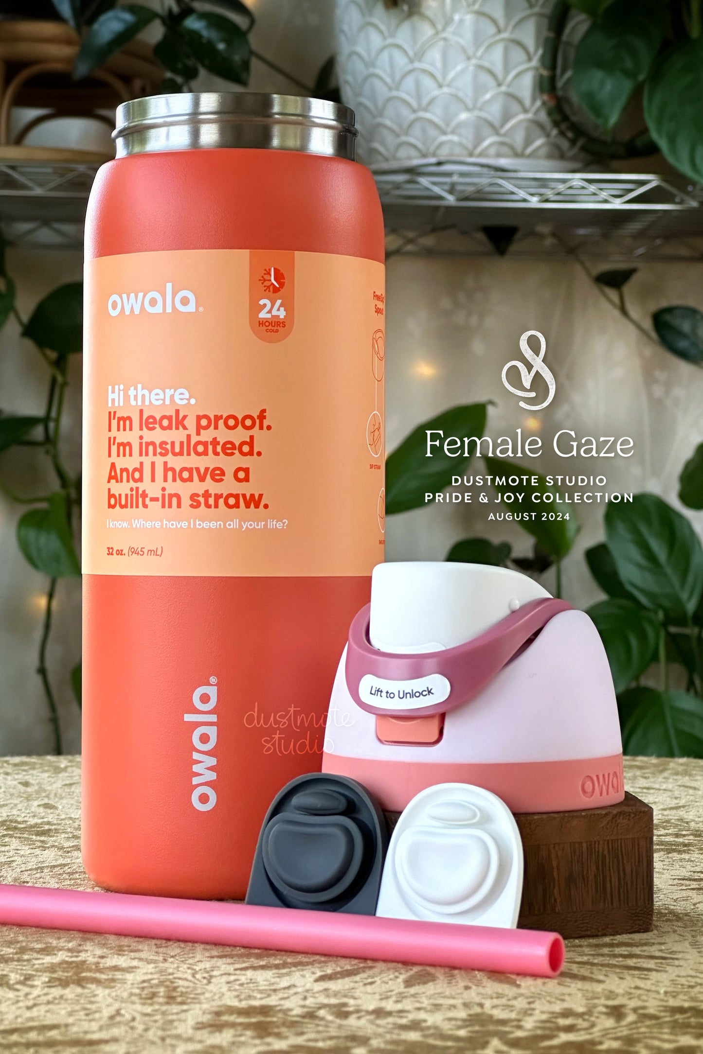 Female Gaze ⊹ 32oz