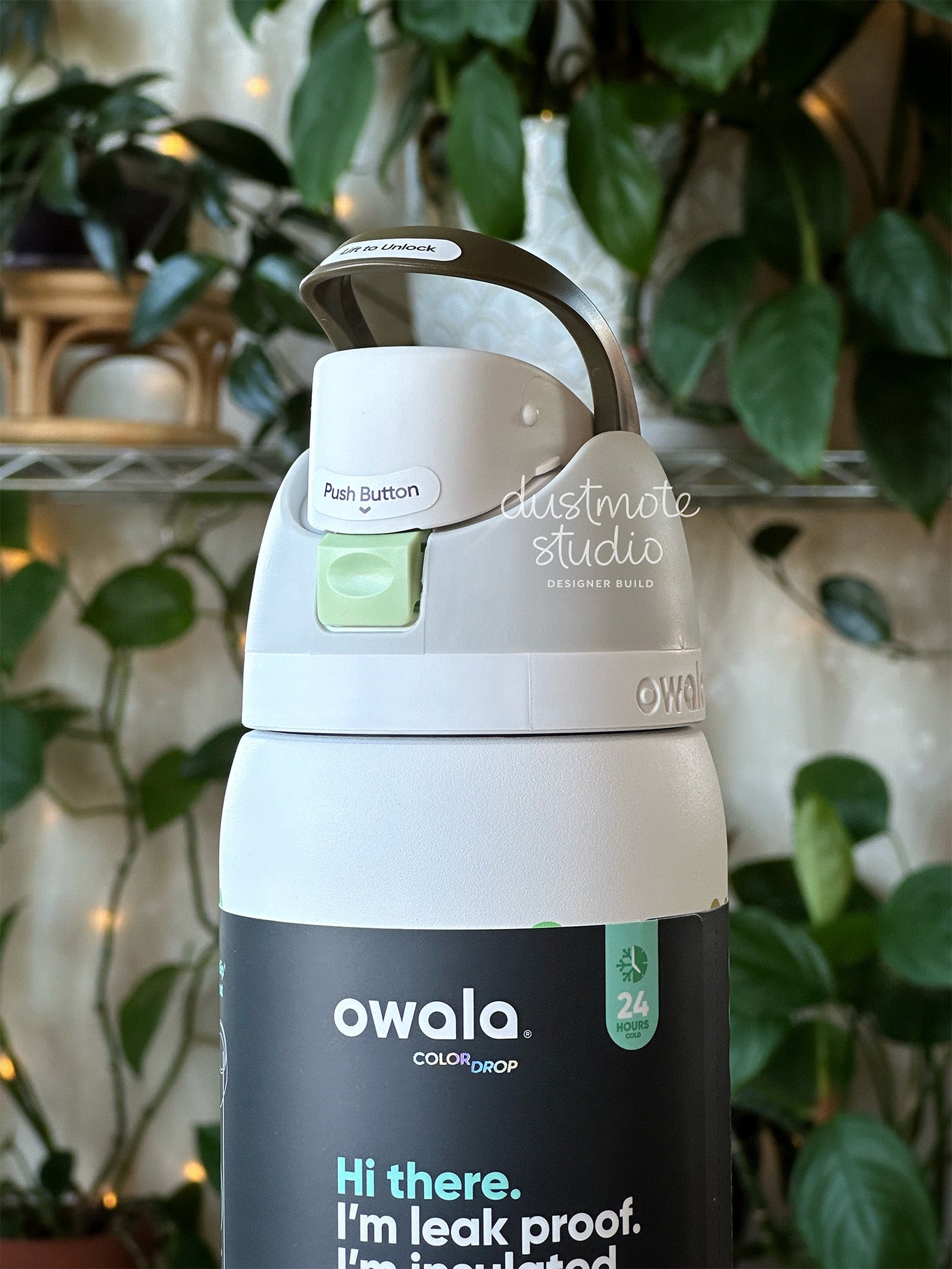 Quiet Clover ⊹ 32oz