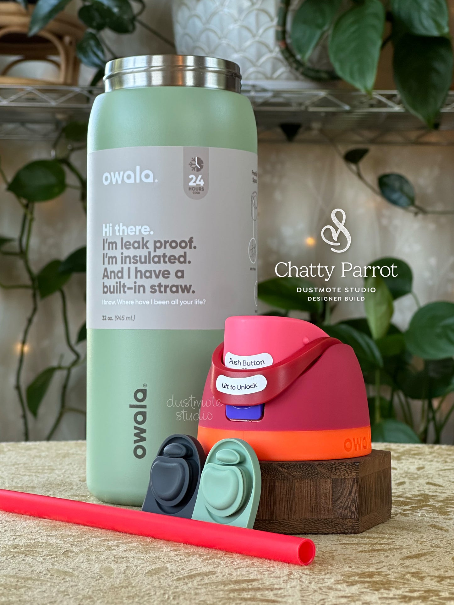 Chatty Parrot ⊹ 32oz