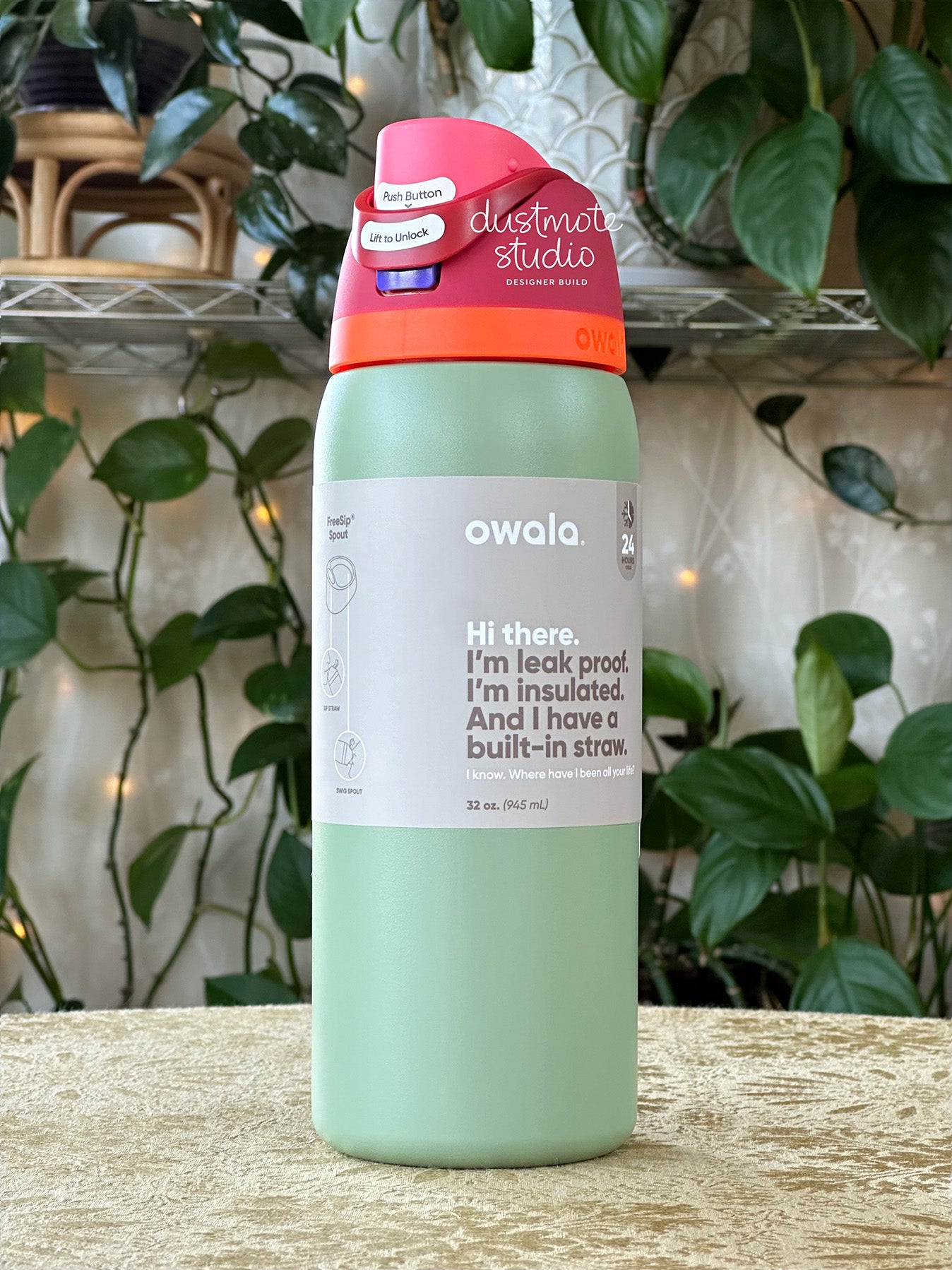 Chatty Parrot ⊹ 32oz