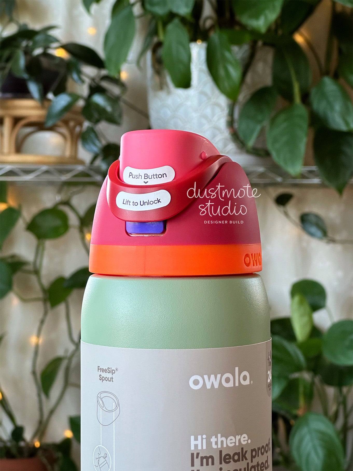 Chatty Parrot ⊹ 32oz