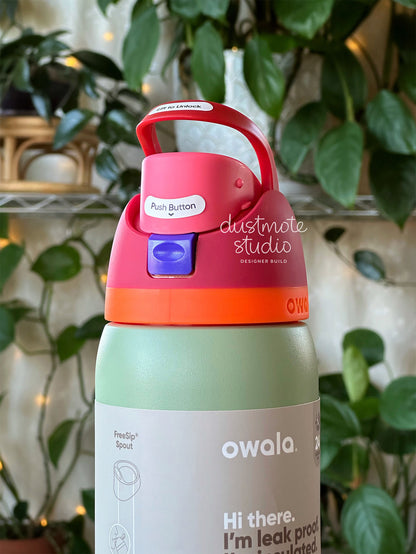 Chatty Parrot ⊹ 32oz