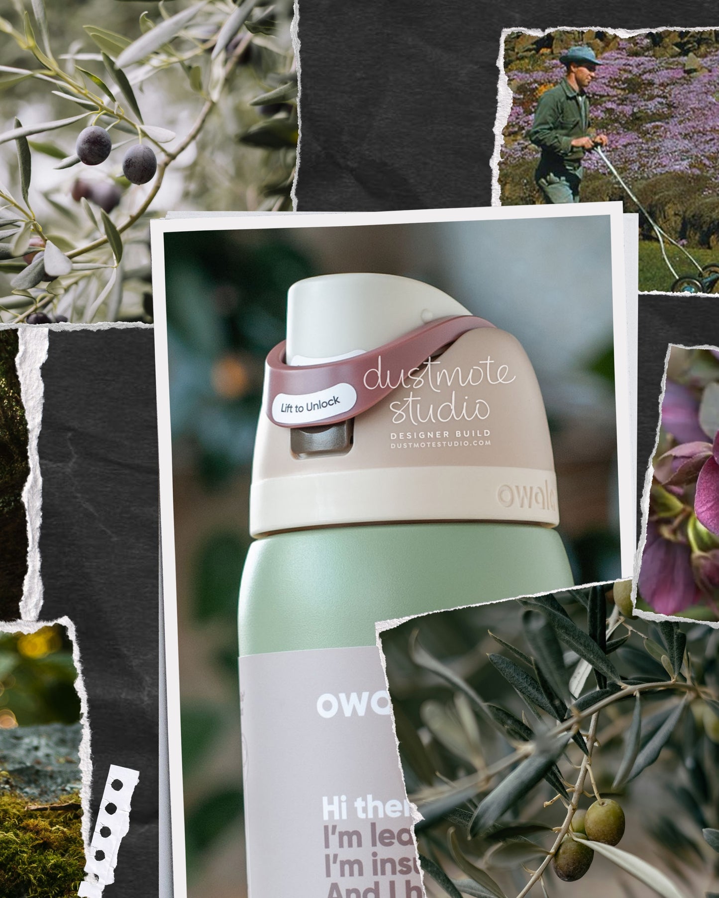 Olive Branch ⊹ 32oz