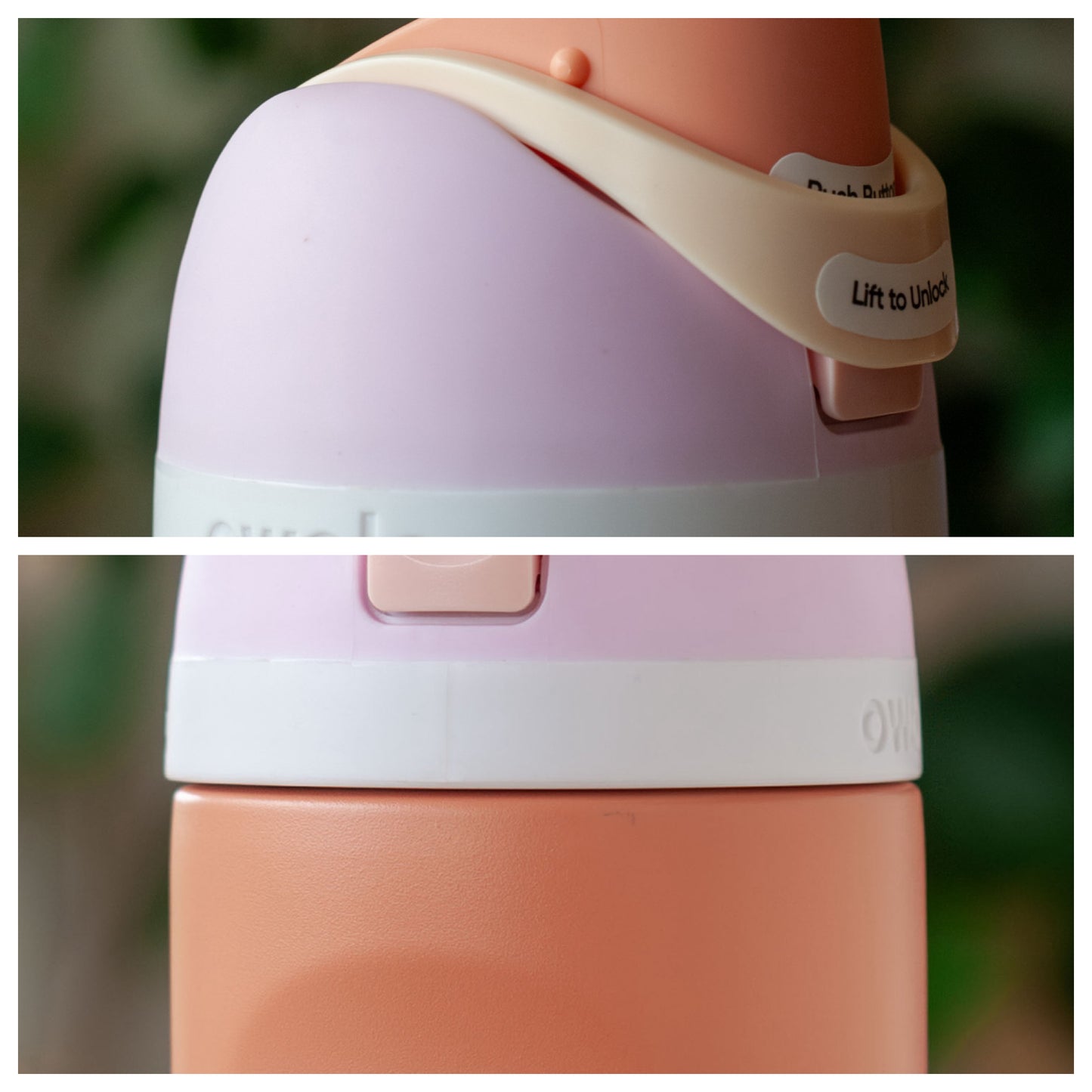 Peach Blossom ⊹ 24oz