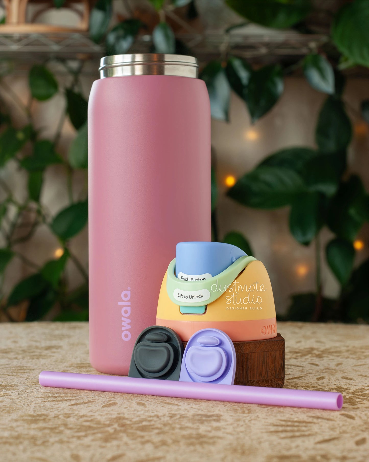 Velvet Rainbow ⊹ 32oz ⊹ Encore